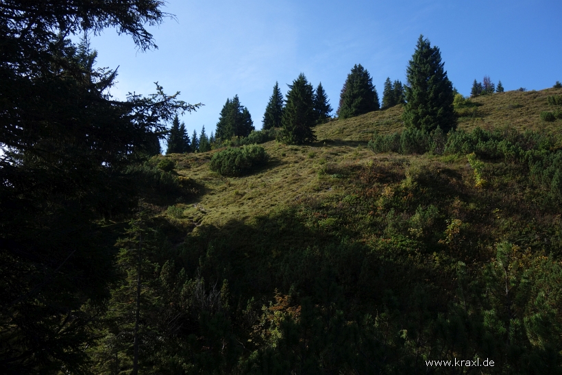 gaisberg-gaisbergjoch-18.jpg