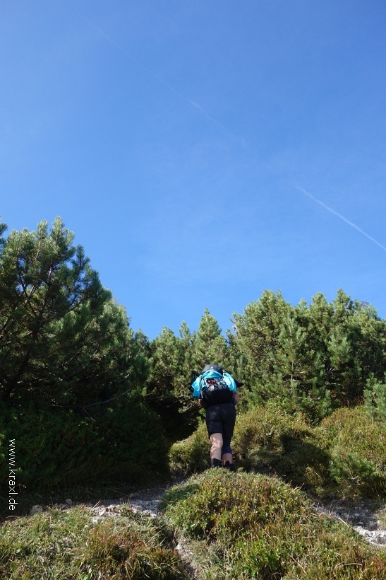 gaisberg-gaisbergjoch-21.jpg