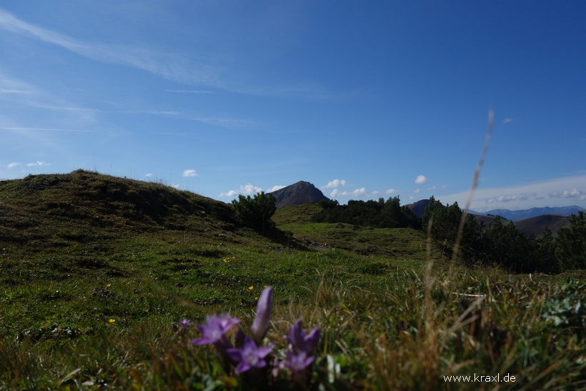 gaisberg-gaisbergjoch-30.jpg