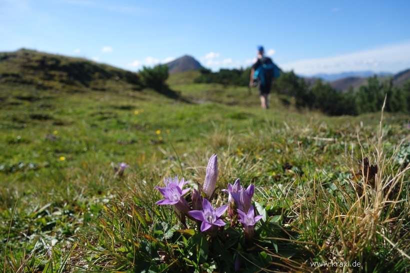 gaisberg-gaisbergjoch-31.jpg