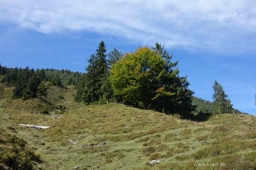 gaisberg-gaisbergjoch-42.jpg