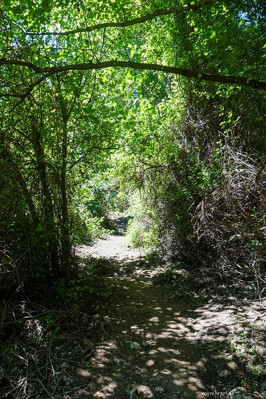 gorropu-schlucht-sardinien-012.jpg