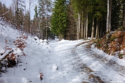 kranzhorn-06.jpg