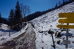 kranzhorn-45.jpg