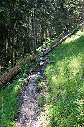 krottenkopf-bischof-016.jpg