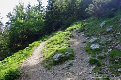 krottenkopf-bischof-020.jpg